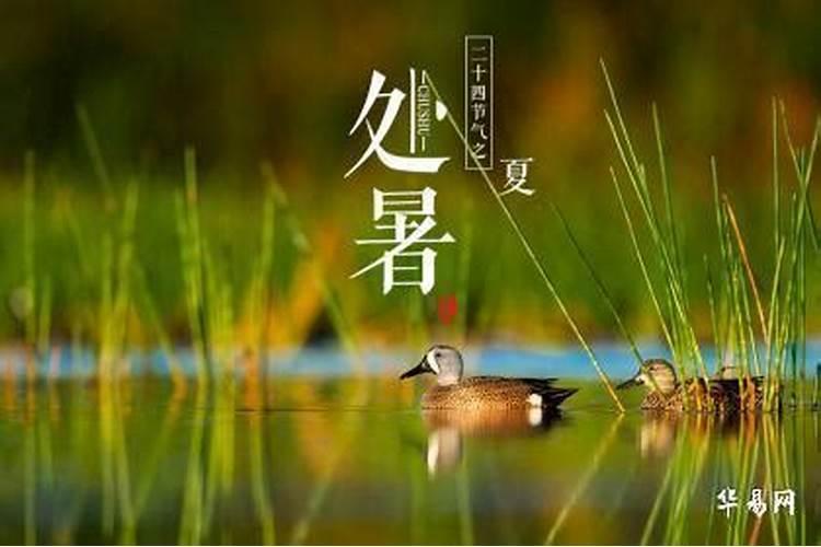 金命交运是立秋还是处暑？