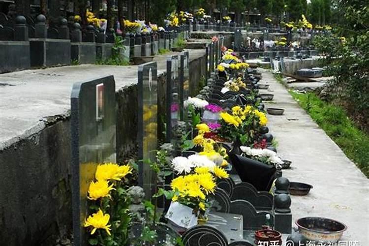 上海习俗冬至后扫墓