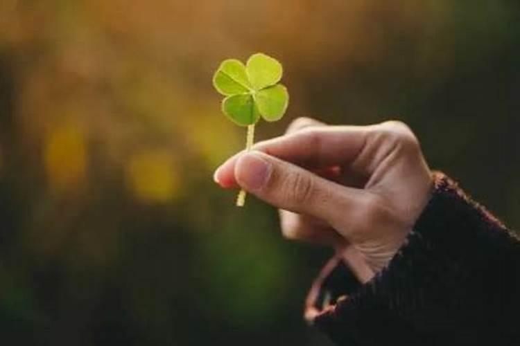 事业一直不顺怎么转运？