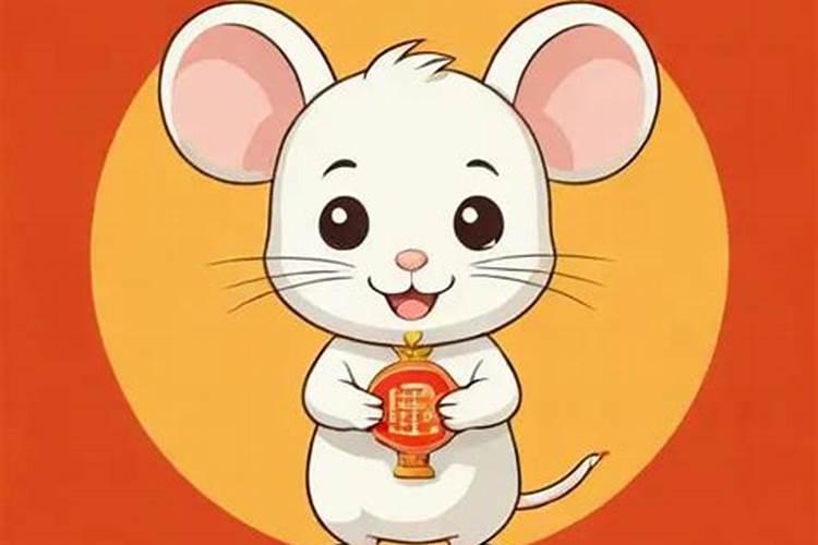 属鼠的今年多大2026运势？