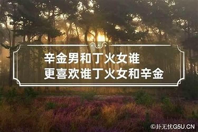 庚金女与丁火男合婚吗？