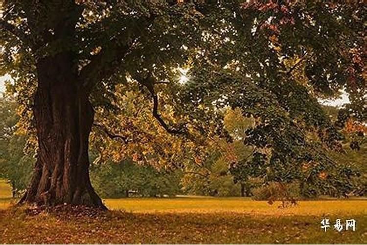 冬至那天出生好吗？