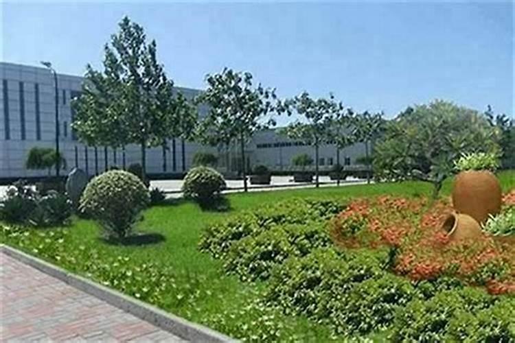 厂区种什么花风水好？