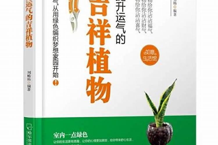 提升考试运气的植物