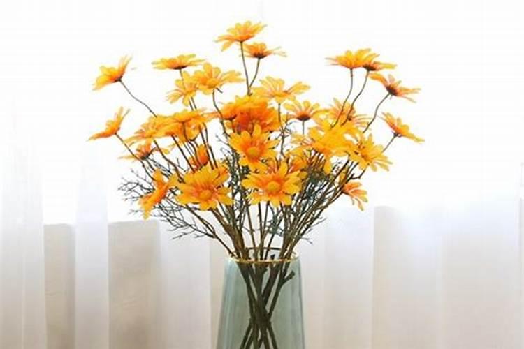 1969年出生本月运程