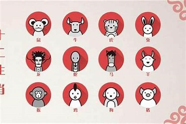 哪个属相人多？