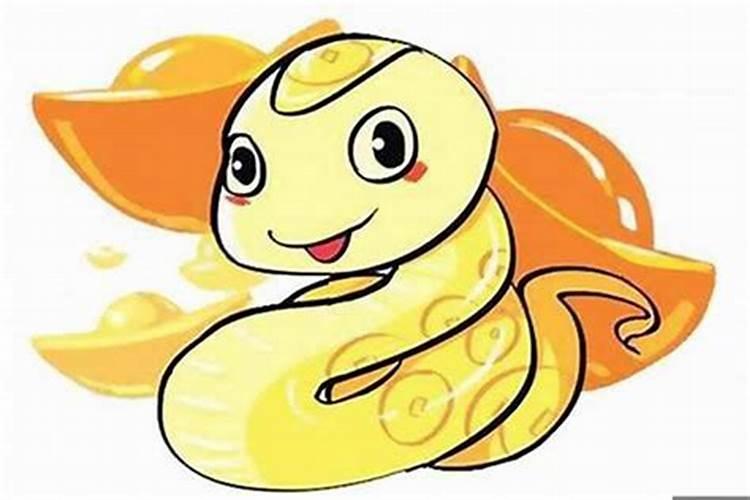 属蛇36岁本命年要注意什么？