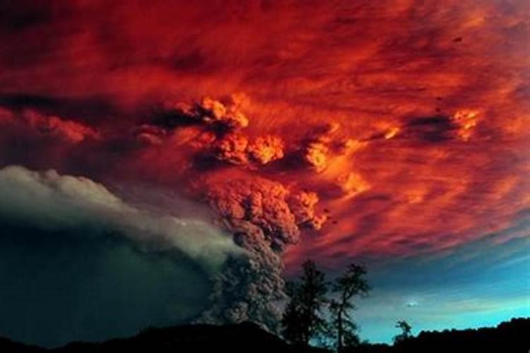 吃太岁的人现在怎么样了？