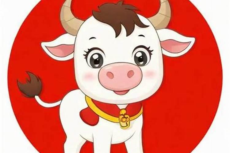 1997年牛女2026年运势