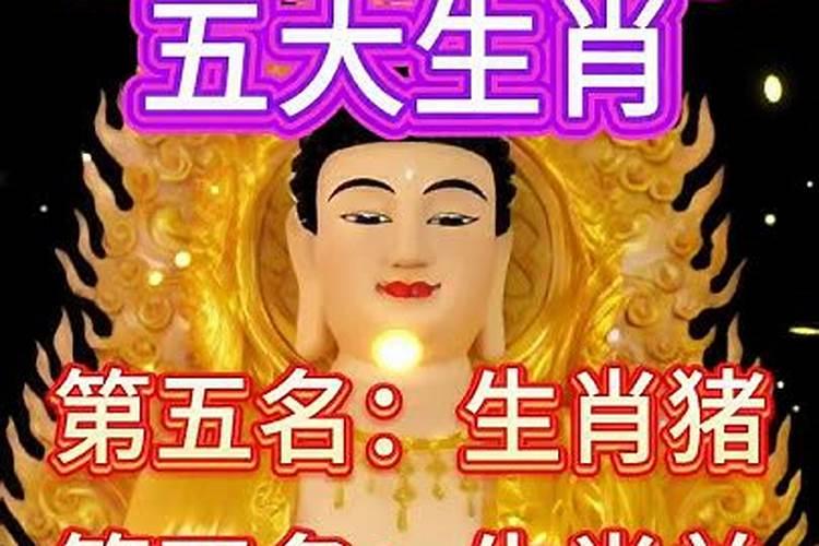 2026即将暴富的生肖