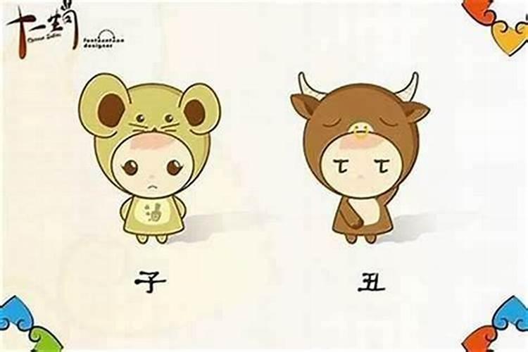 女属鼠男属鸡合婚吗？