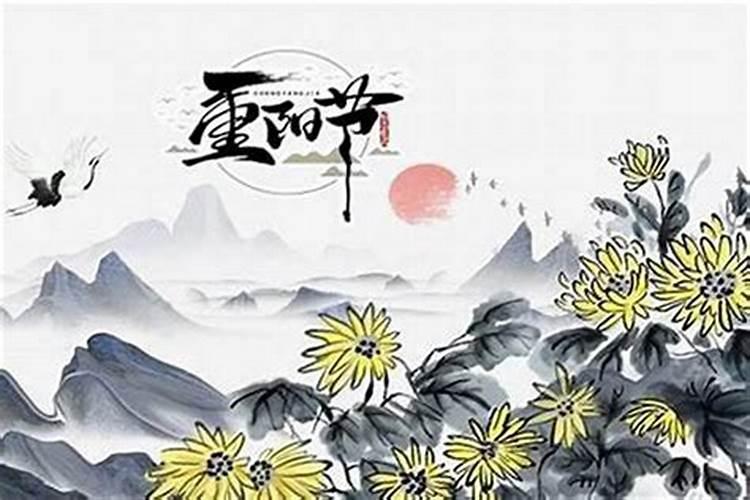 农历九月初九生日是什么花？