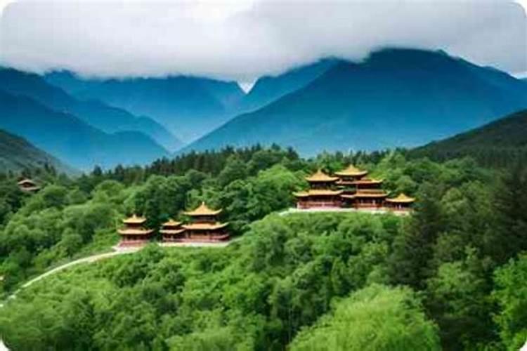 血加丑读什么？