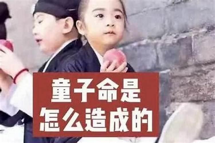 童子命的男人会有后代吗？