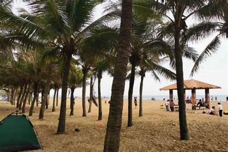 茂名除夕去哪里玩？