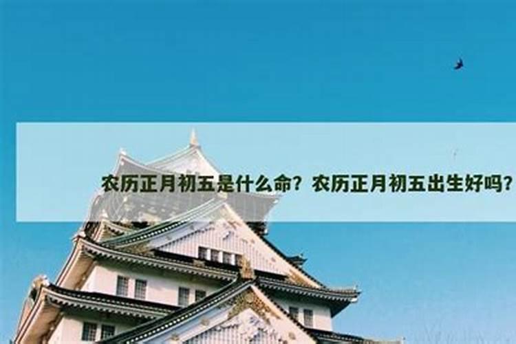 1993正月初五申时出生