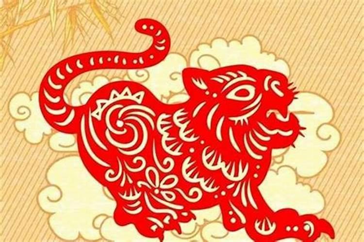 属虎的在牛年2026年运程