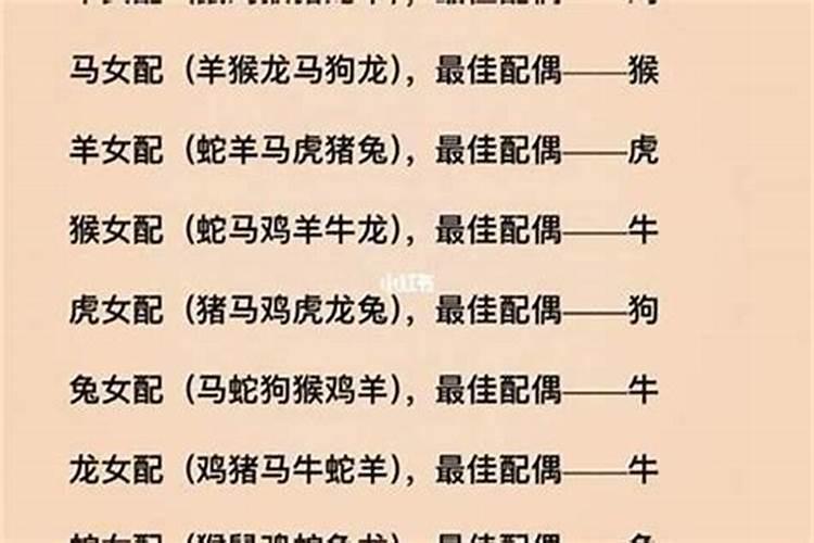 属鼠的人和属什么的人合婚？