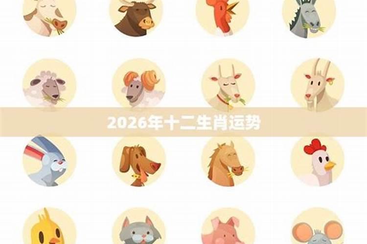 十二生肖猪的运程2026年运程