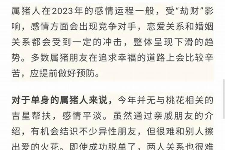 羊人遇猪年2026运势如何？