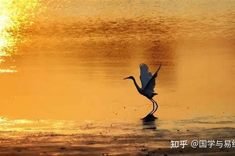 孤鸾命做合婚法事能吗？