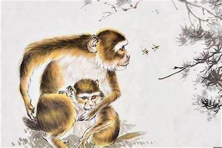 1980年腊月出生的运气