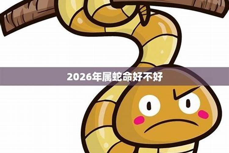 53年属蛇男2026年运势