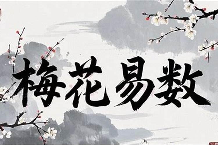 梅花易数预测人生准不准