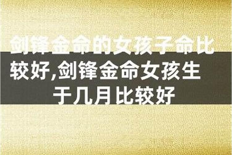 剑锋金命今年运势