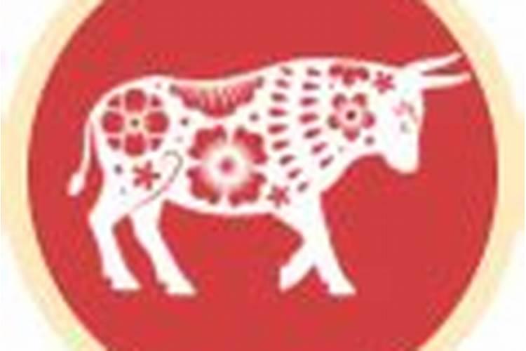 男牛和兔八字合吗？