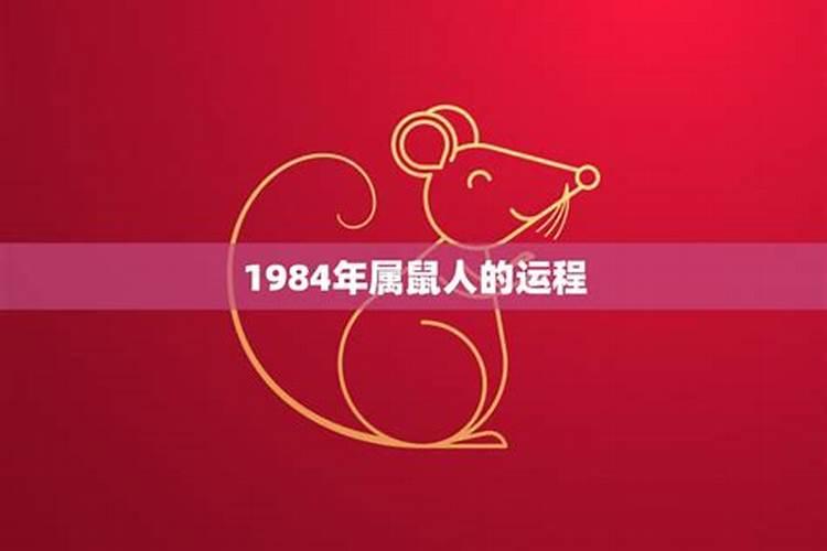 1984鼠运势2026年运程