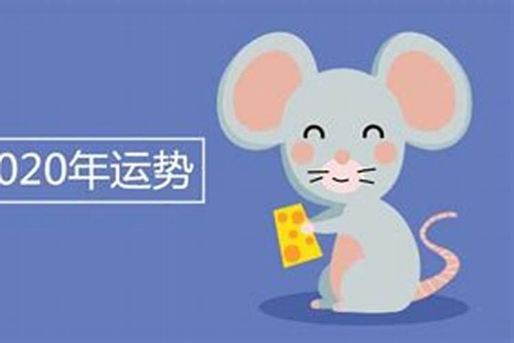 1972的鼠2026年运程