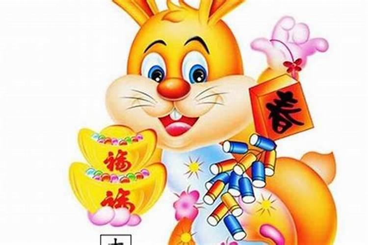 属兔怎么增加财运？