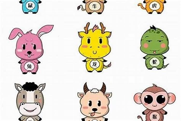 属相婚配男兔女猪和婚好吗？