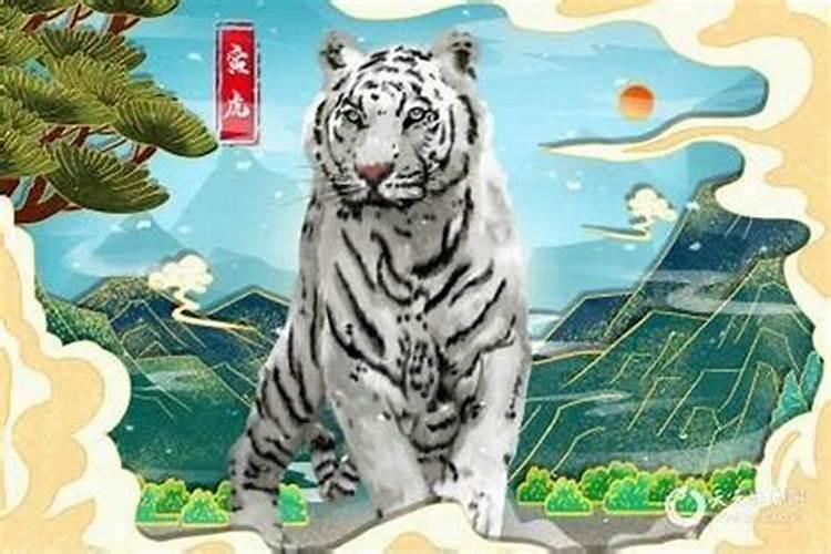 1986年属虎男一生运程