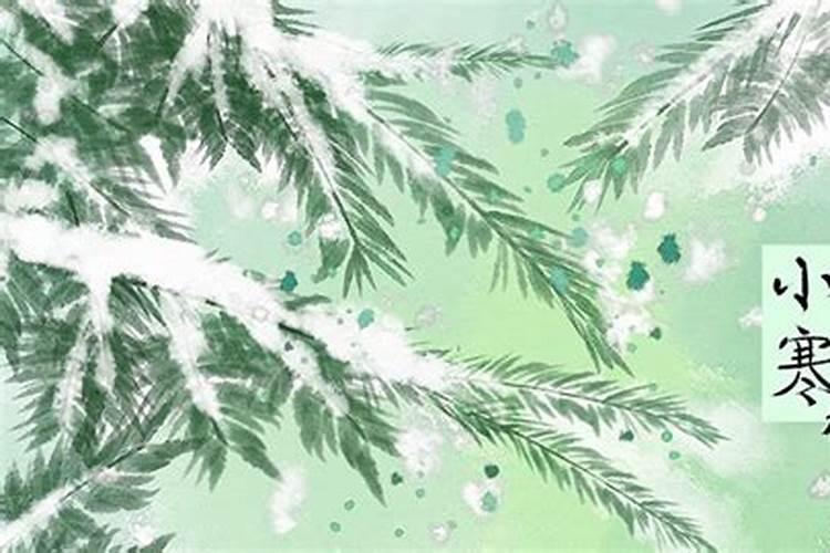 进入腊月后哪个节气最冷？