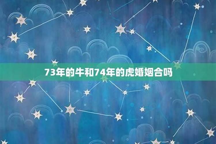73牛和74虎合婚吗？
