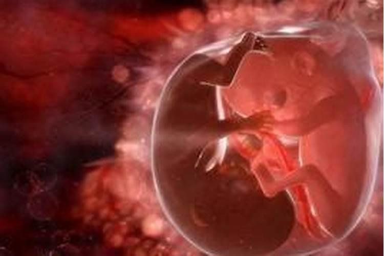 厦门南普陀超度婴灵多少钱？