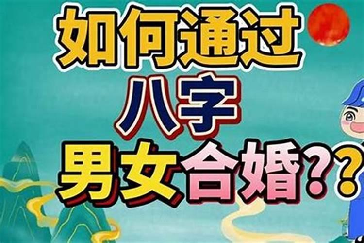 怎么通过八字合婚？
