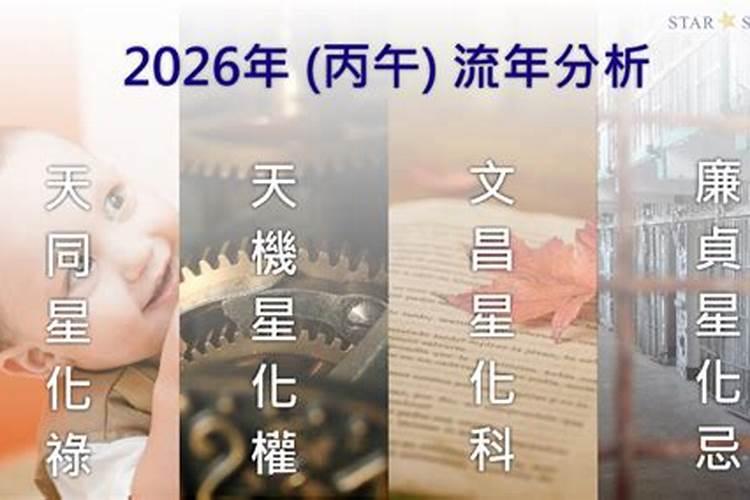 紫微主星2026年运程