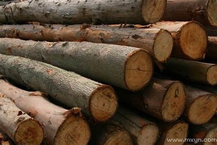 梦见木头是什么意思？