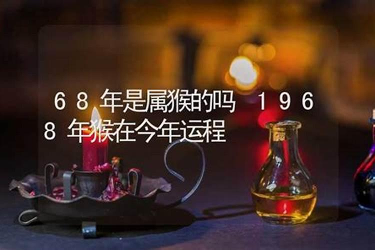 68年猴今年的运程