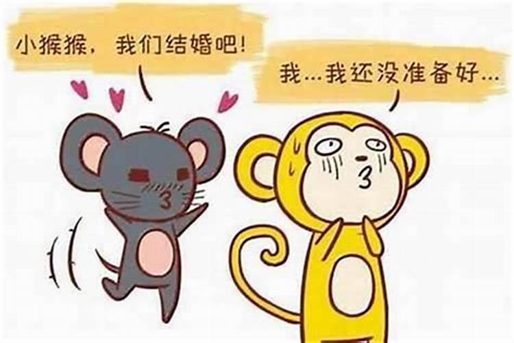 女猴男马合婚吗？