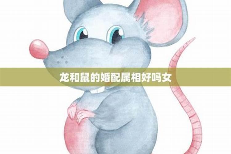 鼠和龙属相是否可以婚配吗？