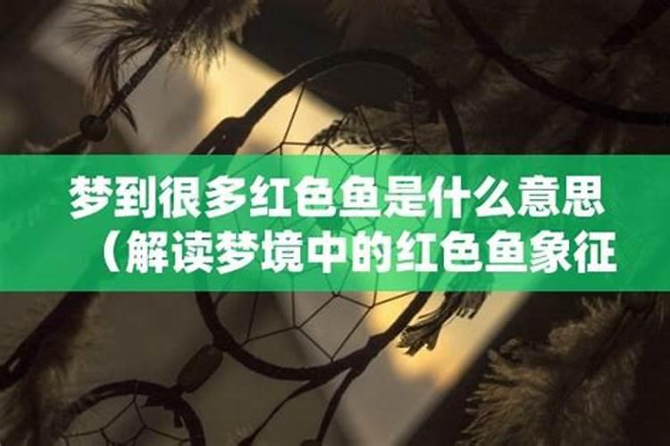 梦到好多红色金鱼是什么意思？