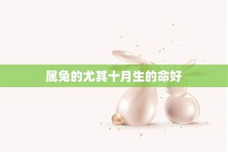 属兔10月份的运程怎么样？