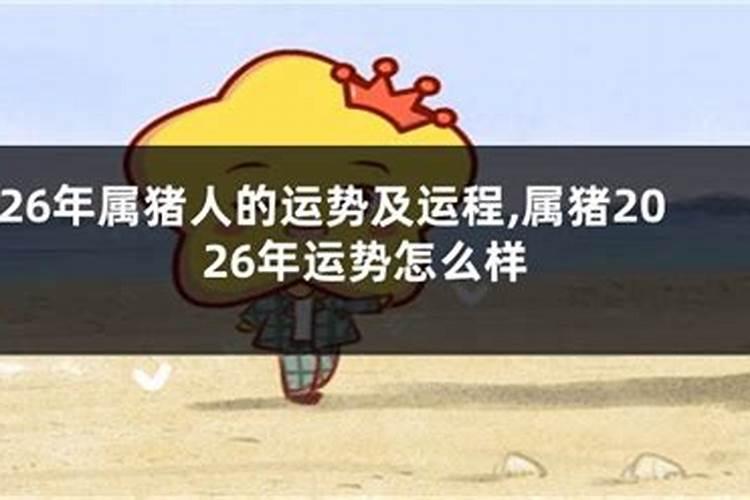 属猪2026年阴历4月运势如何？