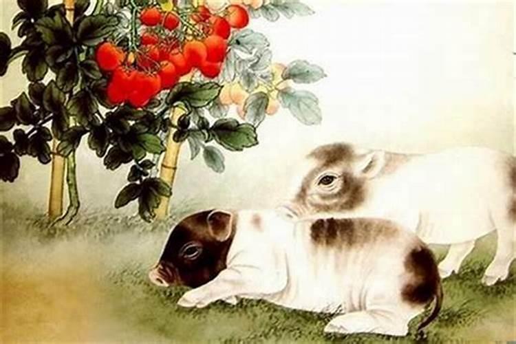 属鼠的和属鸡的人八字合吗？