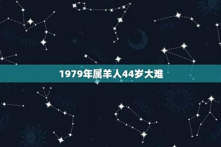1979年属今年的运程