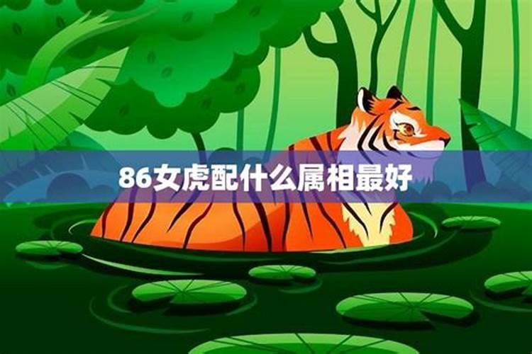 属相婚配女虎配什么最好？